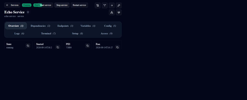 Echo detail with Running and Healthy state